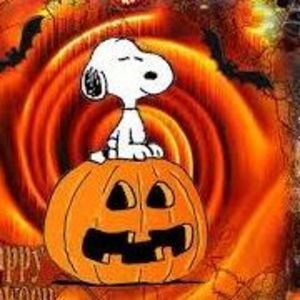 Meet your Posher, Carol